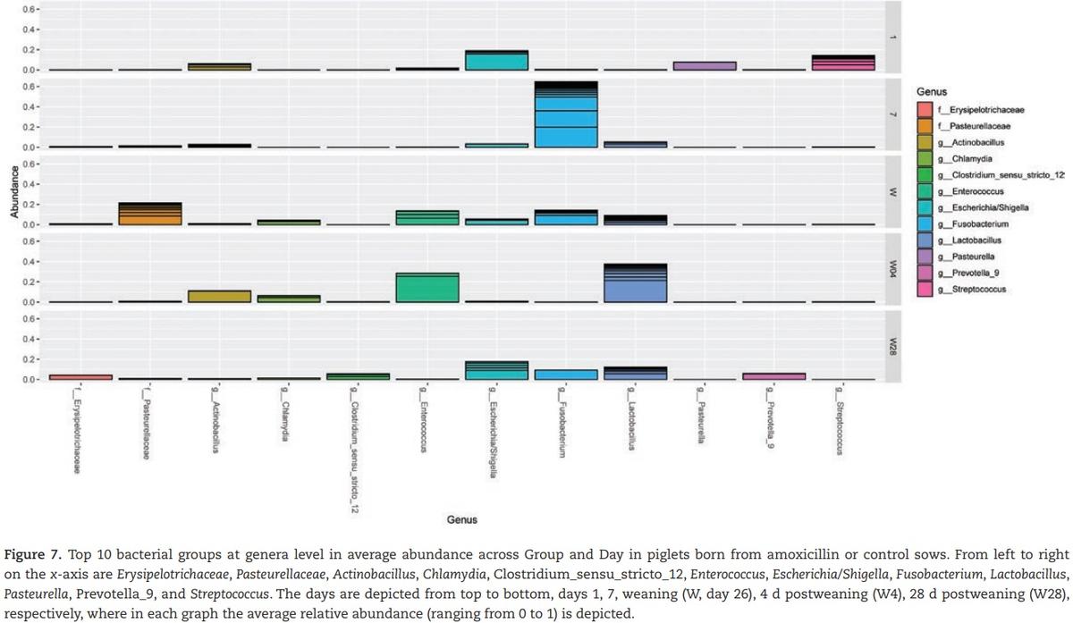 The effect of maternal antibiotic use in sows on intestinal development in offspring - Image 15