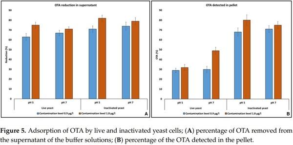 Application of Low-Fermenting Yeast Lachancea thermotolerans for the Control of Toxigenic Fungi Aspergillus parasiticus, Penicillium verrucosum and Fusarium graminearum and Their Mycotoxins - Image 6