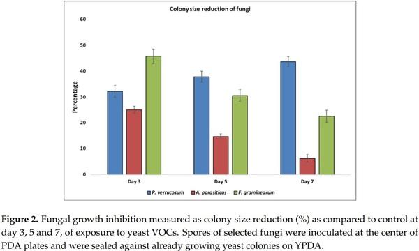Application of Low-Fermenting Yeast Lachancea thermotolerans for the Control of Toxigenic Fungi Aspergillus parasiticus, Penicillium verrucosum and Fusarium graminearum and Their Mycotoxins - Image 2
