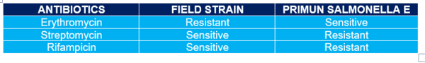 Vaccine strain differentiation: an essential factor in monitoring and controlling salmonellosis in poultry - Image 1