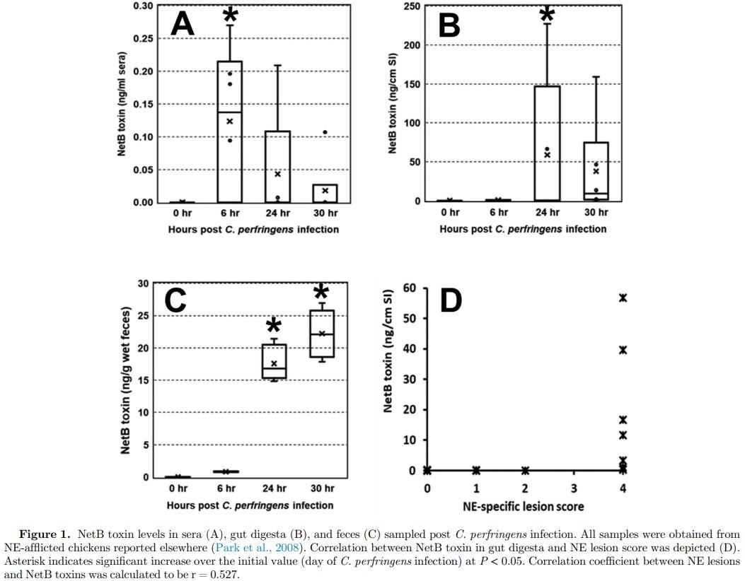 Research Note: First report on the detection of necrotic enteritis (NE) B-like toxin in biological samples from NE-afflicted chickens using capture enzyme-linked immunosorbent assay - Image 3