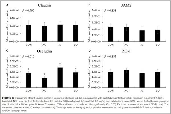 Effects of Dietary Maltol on Innate Immunity, Gut Health, and Growth Performance of Broiler Chickens Challenged With Eimeria maxima - Image 13
