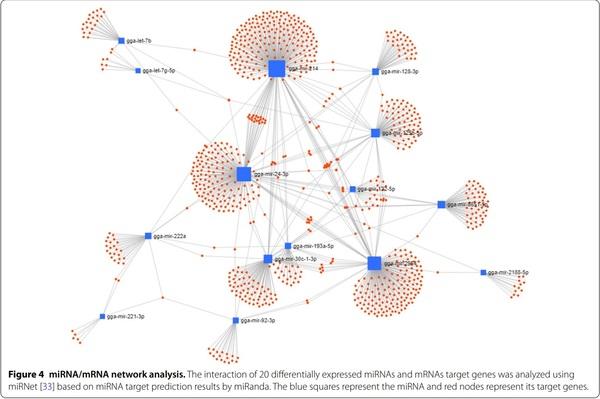 Exosomal miRNA profling from H5N1 avian infuenza virus-infected chickens - Image 7