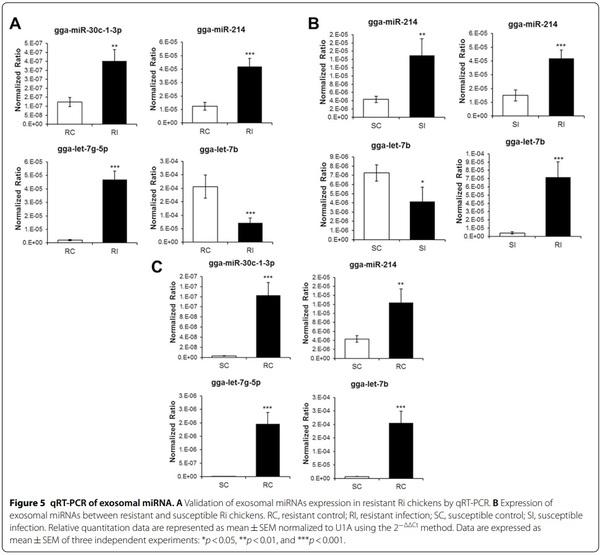 Exosomal miRNA profling from H5N1 avian infuenza virus-infected chickens - Image 8