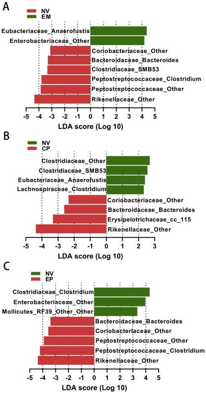 Effects of Eimeria maxima and Clostridium perfringens infections on cecal microbial composition and the possible correlation with body weight gain in broiler chickens - Image 7