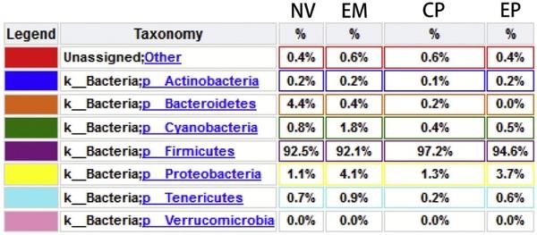 Effects of Eimeria maxima and Clostridium perfringens infections on cecal microbial composition and the possible correlation with body weight gain in broiler chickens - Image 6