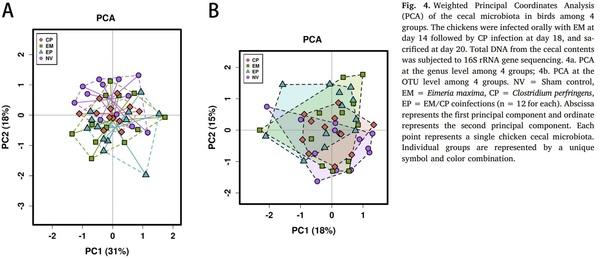 Effects of Eimeria maxima and Clostridium perfringens infections on cecal microbial composition and the possible correlation with body weight gain in broiler chickens - Image 4