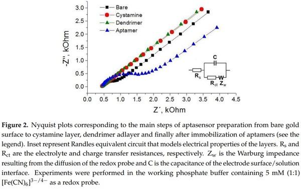 Label-Free and Redox Markers-Based Electrochemical Aptasensors for Aflatoxin M1 Detection - Image 2