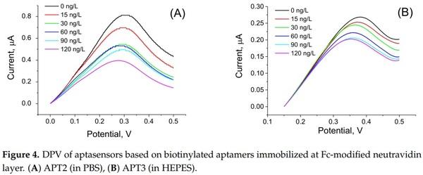 Label-Free and Redox Markers-Based Electrochemical Aptasensors for Aflatoxin M1 Detection - Image 4