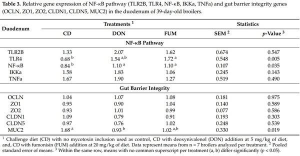 Effects of Deoxynivalenol and Fumonisins on Broiler Gut Cytoprotective Capacity - Image 1