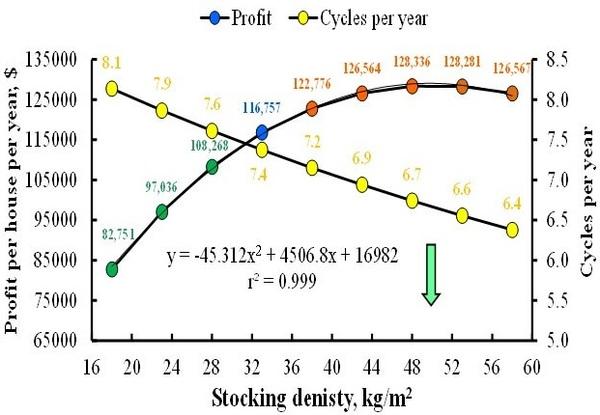 Stocking Density and Farm Profitability in Broiler Chickens - Image 2