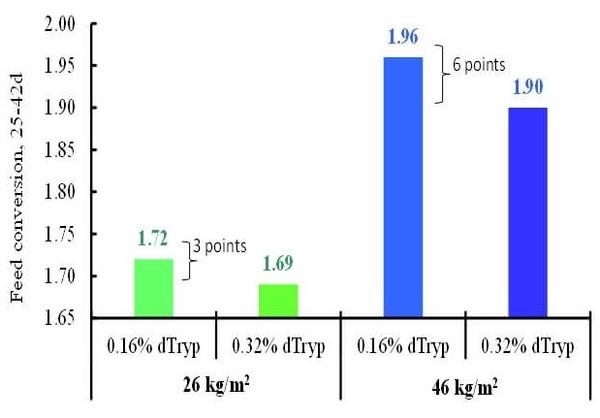 Stocking Density and Farm Profitability in Broiler Chickens - Image 3