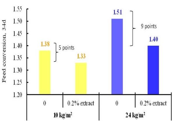 Stocking Density and Farm Profitability in Broiler Chickens - Image 5