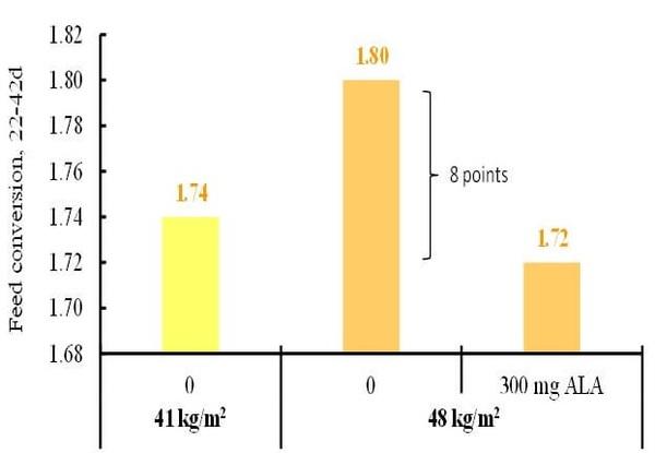 Stocking Density and Farm Profitability in Broiler Chickens - Image 4