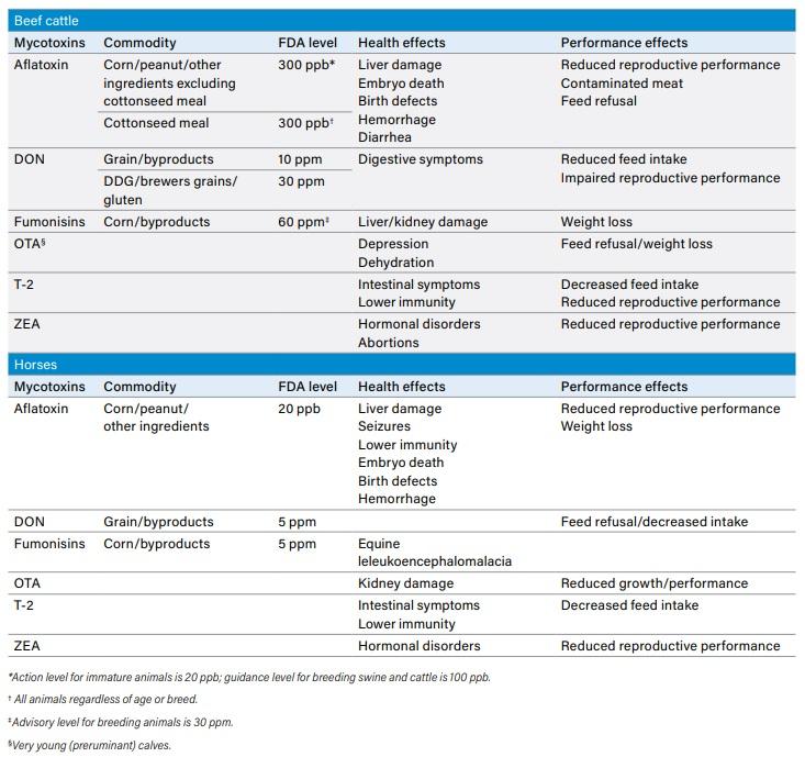 Mycotoxin Testing in the Feed Chain: A Risk Prevention Strategy for Raw Material Suppliers, Grain Storage Facilities and Processors, and Feed Manufacturers - Image 5