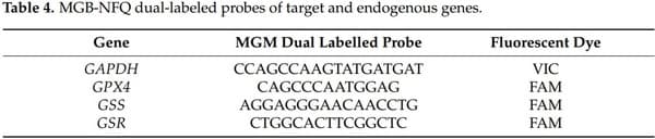 Effects of Fusarium Mycotoxin Exposure on Lipid Peroxidation and Glutathione Redox System in the Liver of Laying Hens - Image 4
