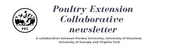 Non-Infectious Leg Health Issues of Poultry - Image 1