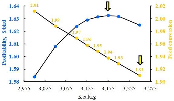 Broiler Feed Formulation Amid Coronavirus Outbreak - Image 2