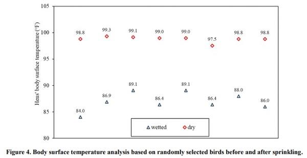 Sprinkling Cooling for Cage-free Hens - Image 4