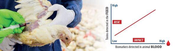 Myco-Marker® knowing the real exposure to mycotoxins through blood tests - Image 1
