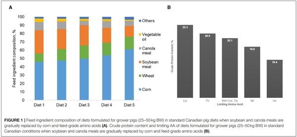 Feeding Strategies to Reduce Nutrient Losses and Improve the Sustainability of Growing Pigs - Image 1