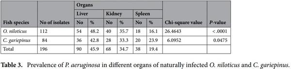 < p> Emerging MDR-Pseudomonas aeruginosa in fish commonly harbor oprL and toxA virulence genes and bla< sub> TEM< /sub> , bla< sub> CTX-M< /sub> , and tetA antibiotic-resistance genes< /p> - Image 5