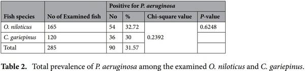 < p> Emerging MDR-Pseudomonas aeruginosa in fish commonly harbor oprL and toxA virulence genes and bla< sub> TEM< /sub> , bla< sub> CTX-M< /sub> , and tetA antibiotic-resistance genes< /p> - Image 4