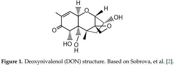 Fusarium graminearum Colors and Deoxynivalenol Synthesis at Different Water Activity - Image 1