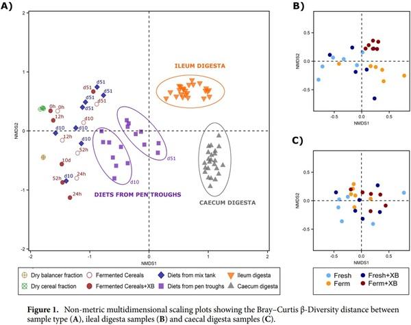 Effect of cereal fermentation and carbohydrase supplementation on growth, nutrient digestibility and intestinal microbiota in liquid-fed grow-finishing pigs - Image 4