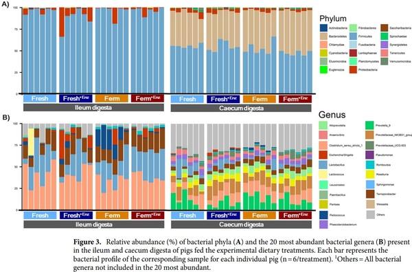 Effect of cereal fermentation and carbohydrase supplementation on growth, nutrient digestibility and intestinal microbiota in liquid-fed grow-finishing pigs - Image 8