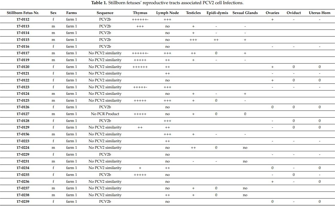 Porcine Circovirus Type 2 Pathogenicity Alters Host’s Central Tolerance for Propagation - Image 1