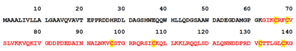 Figure 7. Amino acid sequence of cNKL, with the mature peptide highlighted in red and cysteine residues highlighted in yellow (Lee et al. 2014).