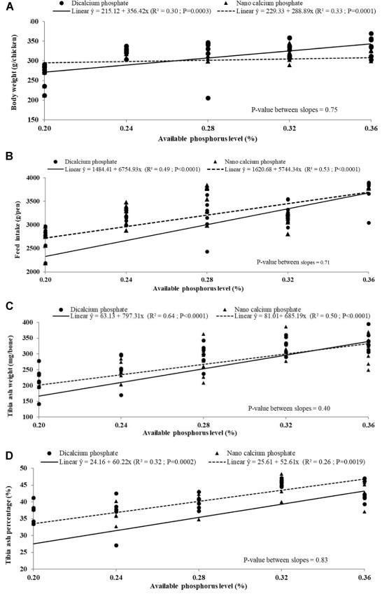 Effects of available phosphorus source and concentration on performance and expression of sodium phosphate type IIb cotransporter, vitamin D-1α-hydroxylase, and vitamin D-24-hydroxylase mRNA in broiler chicks - Image 4
