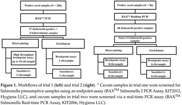 Determination of Antimicrobial Resistance Patterns in Salmonella from Commercial Poultry as Influenced by Microbiological Culture and Antimicrobial Susceptibility Testing Methods - Image 1