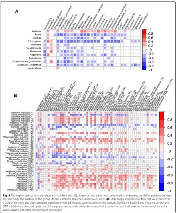 Perturbations of the ileal mycobiota by necrotic enteritis in broiler chickens - Image 9