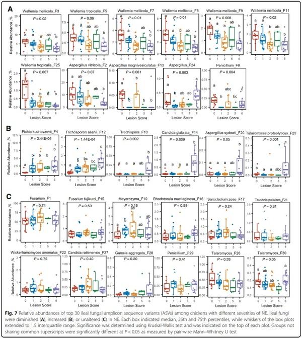 Perturbations of the ileal mycobiota by necrotic enteritis in broiler chickens - Image 8