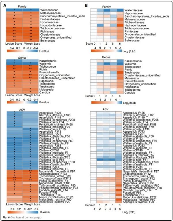 Perturbations of the ileal mycobiota by necrotic enteritis in broiler chickens - Image 6
