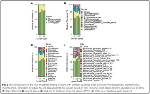 Perturbations of the ileal mycobiota by necrotic enteritis in broiler chickens - Image 3