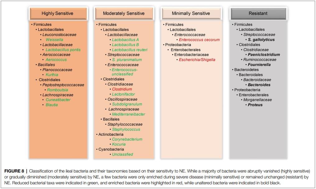 Identification of an Intestinal Microbiota Signature Associated With the Severity of Necrotic Enteritis - Image 15