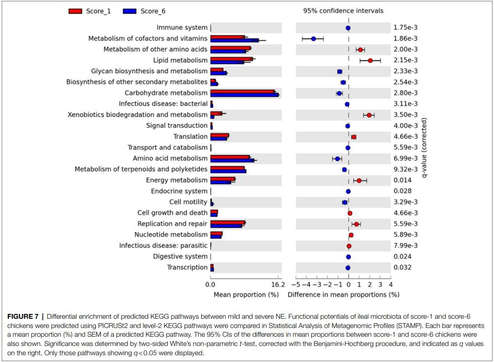 Identification of an Intestinal Microbiota Signature Associated With the Severity of Necrotic Enteritis - Image 13