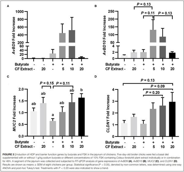 Butyrate and Forskolin Augment Host Defense, Barrier Function, and Disease Resistance Without Eliciting Inflammation - Image 3