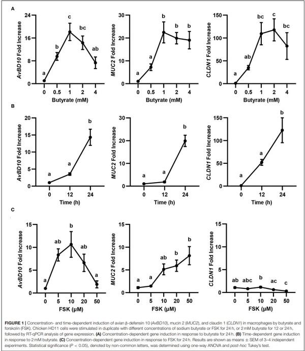 Butyrate and Forskolin Augment Host Defense, Barrier Function, and Disease Resistance Without Eliciting Inflammation - Image 1