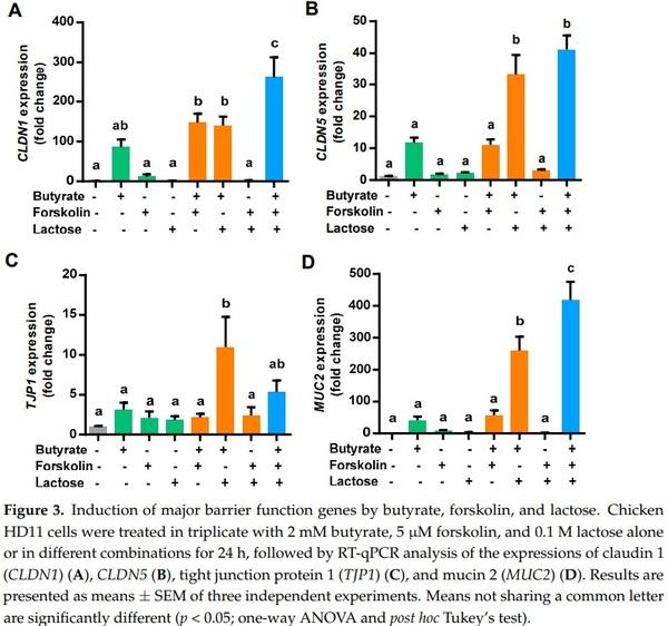 Butyrate, Forskolin, and Lactose Synergistically Enhance Disease Resistance by Inducing the Expression of the Genes Involved in Innate Host Defense and Barrier Function - Image 3