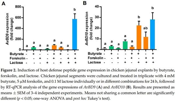 Butyrate, Forskolin, and Lactose Synergistically Enhance Disease Resistance by Inducing the Expression of the Genes Involved in Innate Host Defense and Barrier Function - Image 2
