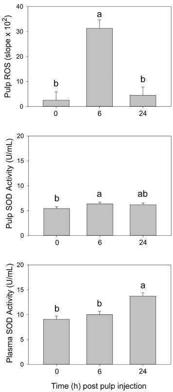 Local and systemic inflammatory responses to lipopolysaccharide in broilers: new insights using a two-window approach - Image 5