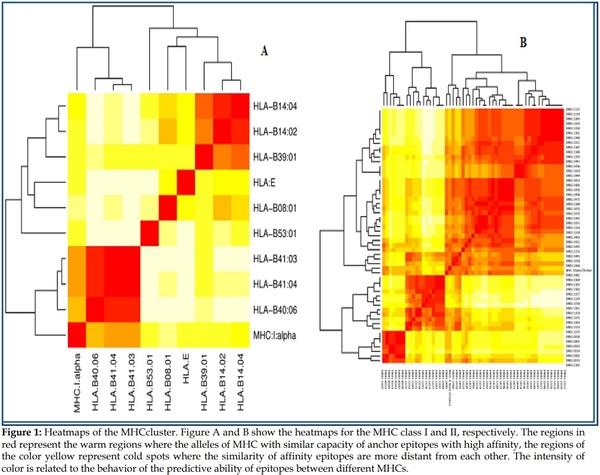 Design of a predicted MHC restricted short peptide immunodiagnostic and vaccine candidate for Fowl adenovirus C in chicken infection - Image 1