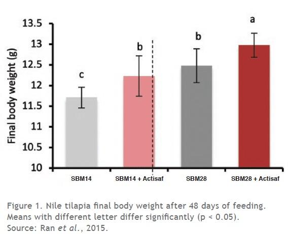 Yeast probiotics to boost fish gut health and improve feed efficiency - Image 1