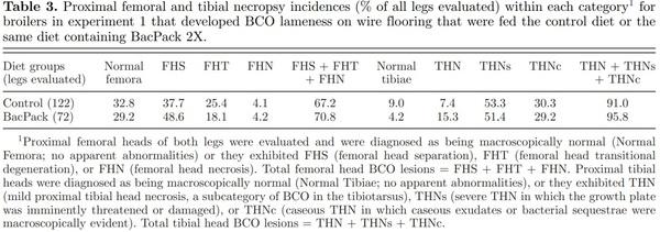 Prophylactic administration of a combined prebiotic and probiotic, or therapeutic administration of enrofloxacin, to reduce the incidence of bacterial chondronecrosis with osteomyelitis in broilers - Image 5