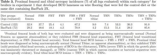 Prophylactic administration of a combined prebiotic and probiotic, or therapeutic administration of enrofloxacin, to reduce the incidence of bacterial chondronecrosis with osteomyelitis in broilers - Image 5