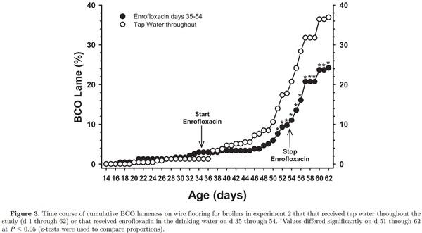 Prophylactic administration of a combined prebiotic and probiotic, or therapeutic administration of enrofloxacin, to reduce the incidence of bacterial chondronecrosis with osteomyelitis in broilers - Image 9